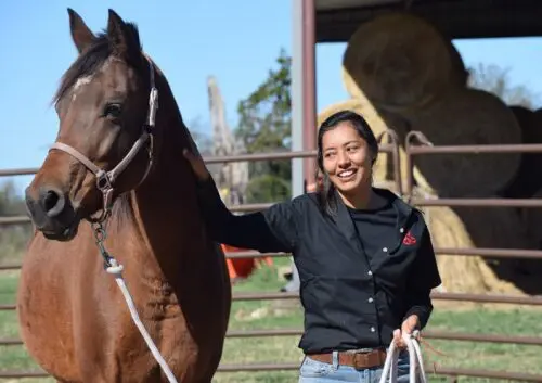 mind-body-spirit-femalevet-horse